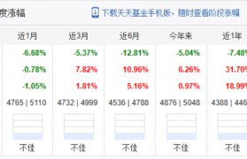 天天基金(天天基金官网首页)